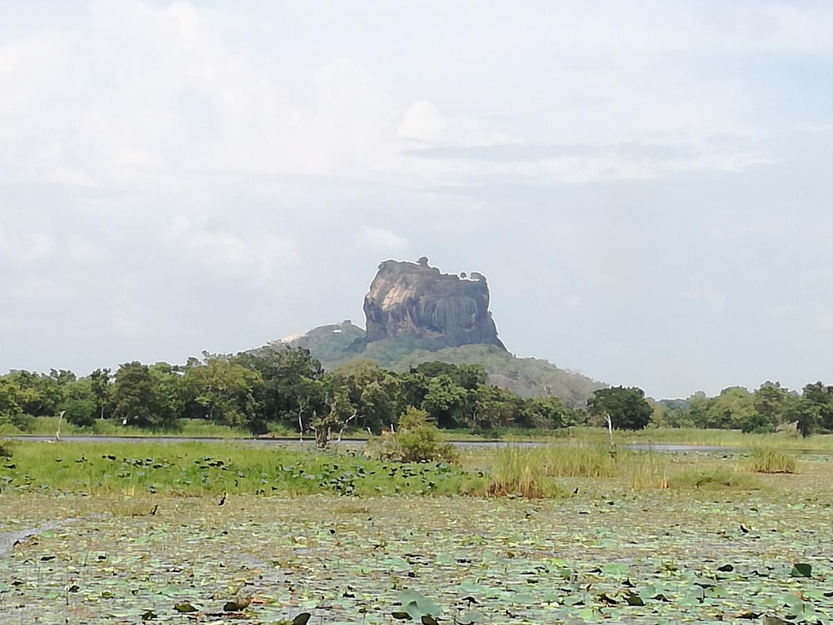 Sigiri Binara Villa Sigiriya Exterior photo
