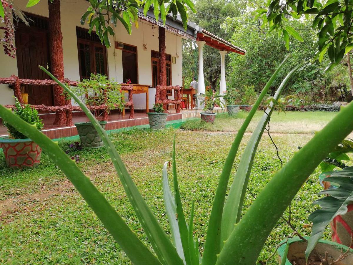 Sigiri Binara Villa Sigiriya Exterior photo